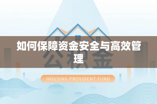 庐山如何保障资金安全与高效管理
