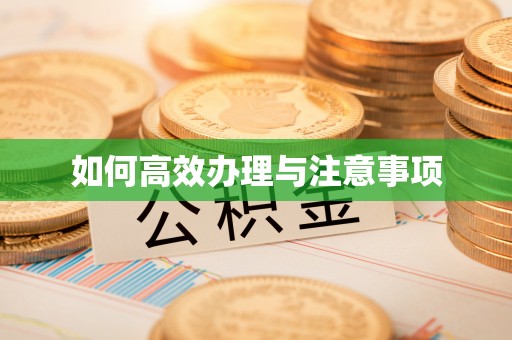 庐山如何高效办理与注意事项