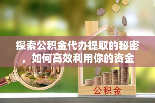 庐山探索公积金代办提取的秘密，如何高效利用你的资金