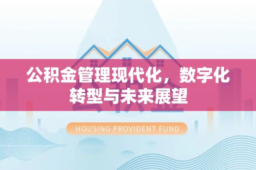 庐山公积金管理现代化，数字化转型与未来展望