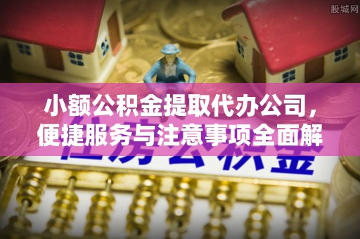 庐山小额公积金提取代办公司，便捷服务与注意事项全面解析