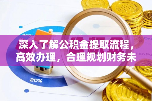 庐山深入了解公积金提取流程，高效办理，合理规划财务未来