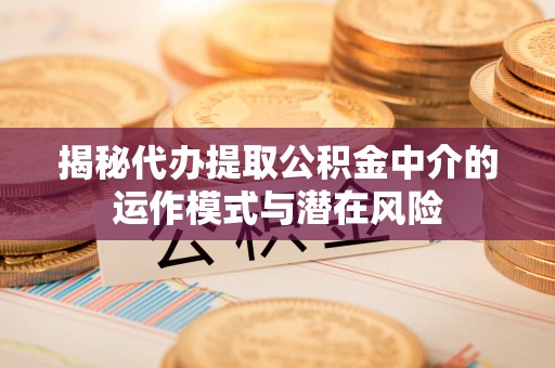 庐山揭秘代办提取公积金中介的运作模式与潜在风险