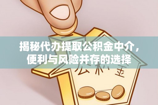 庐山揭秘代办提取公积金中介，便利与风险并存的选择