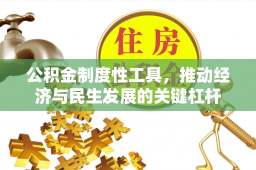 庐山公积金制度性工具，推动经济与民生发展的关键杠杆
