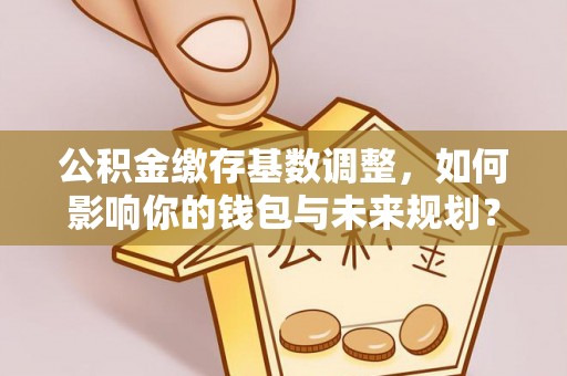 庐山公积金缴存基数调整，如何影响你的钱包与未来规划？