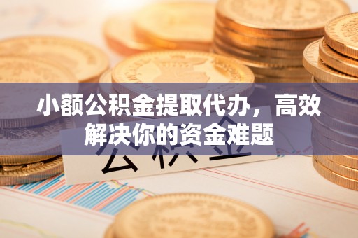 庐山小额公积金提取代办，高效解决你的资金难题