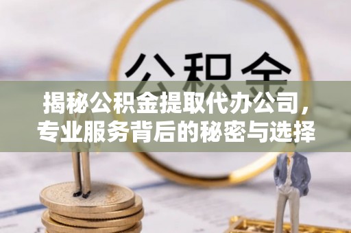 庐山揭秘公积金提取代办公司，专业服务背后的秘密与选择指南
