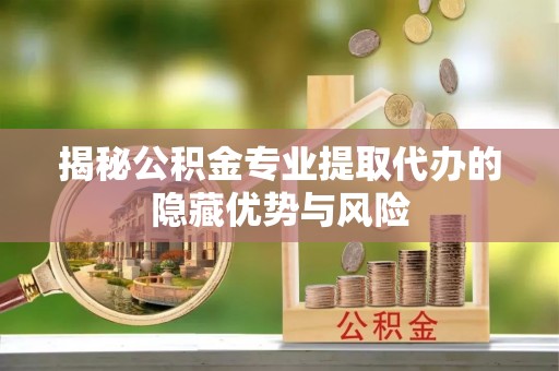 庐山揭秘公积金专业提取代办的隐藏优势与风险