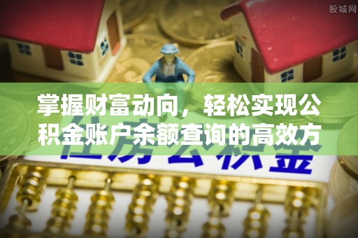 庐山掌握财富动向，轻松实现公积金账户余额查询的高效方式
