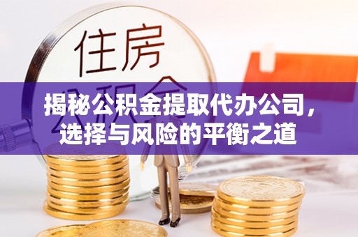 庐山揭秘公积金提取代办公司，选择与风险的平衡之道