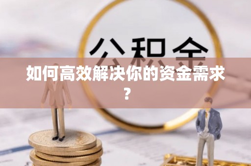 庐山如何高效解决你的资金需求？