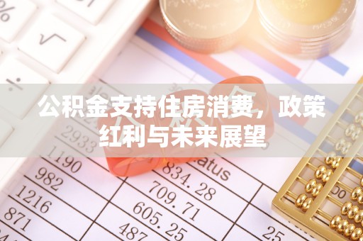 庐山公积金支持住房消费，政策红利与未来展望