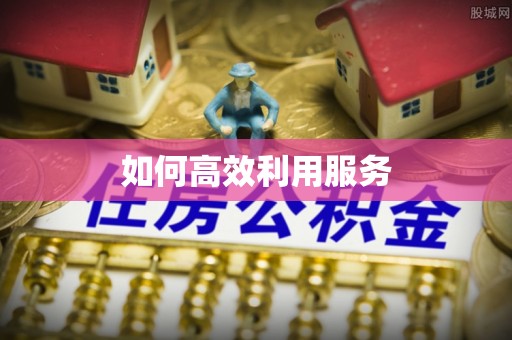 庐山如何高效利用服务