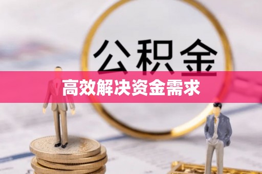 庐山高效解决资金需求