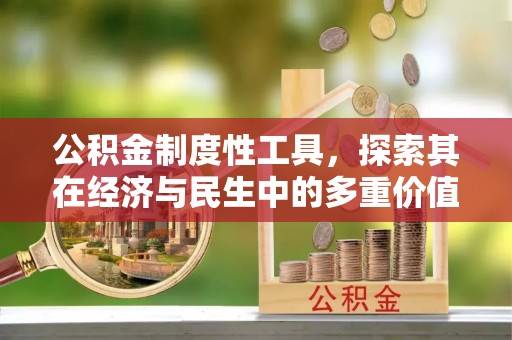 庐山公积金制度性工具，探索其在经济与民生中的多重价值