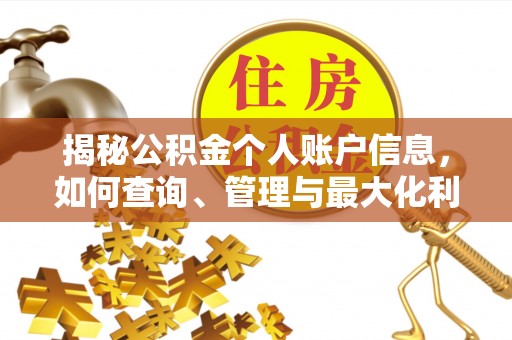 庐山揭秘公积金个人账户信息，如何查询、管理与最大化利用