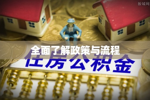 庐山全面了解政策与流程