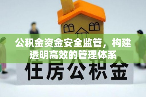 庐山公积金资金安全监管，构建透明高效的管理体系