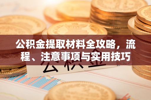 庐山公积金提取材料全攻略，流程、注意事项与实用技巧