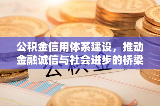 庐山公积金信用体系建设，推动金融诚信与社会进步的桥梁