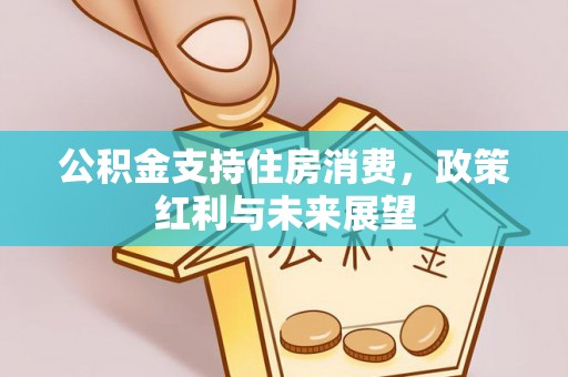 庐山公积金支持住房消费，政策红利与未来展望
