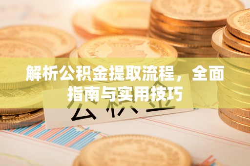 庐山解析公积金提取流程，全面指南与实用技巧