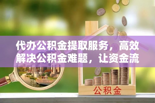 庐山代办公积金提取服务，高效解决公积金难题，让资金流动更自由