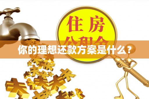 庐山你的理想还款方案是什么？