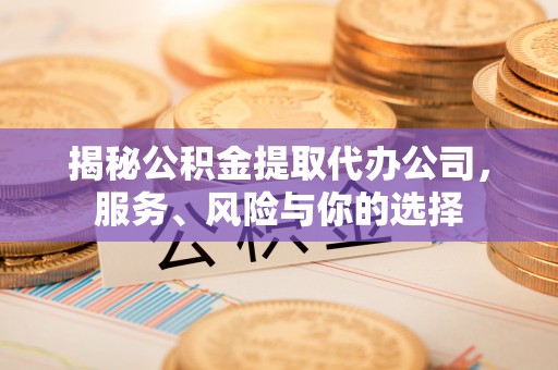 庐山揭秘公积金提取代办公司，服务、风险与你的选择