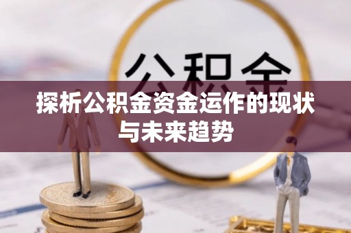 庐山探析公积金资金运作的现状与未来趋势