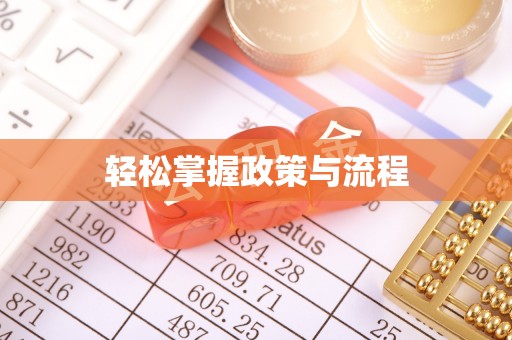 庐山轻松掌握政策与流程
