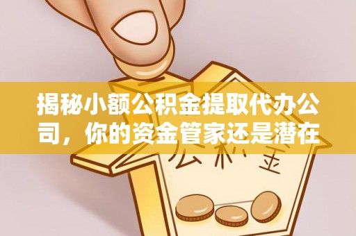 庐山揭秘小额公积金提取代办公司，你的资金管家还是潜在风险？