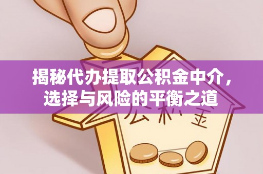庐山揭秘代办提取公积金中介，选择与风险的平衡之道