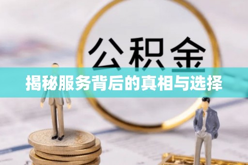 庐山揭秘服务背后的真相与选择