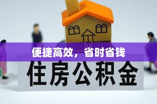 庐山便捷高效，省时省钱