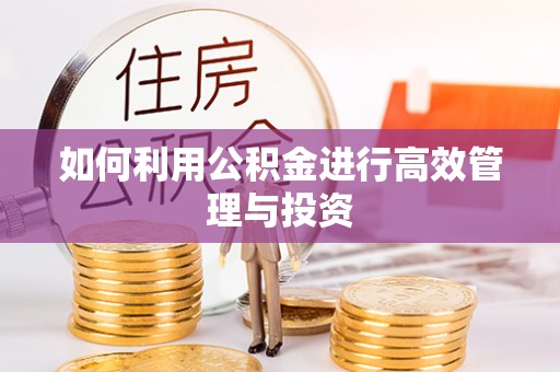庐山如何利用公积金进行高效管理与投资