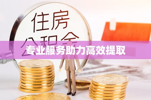 庐山专业服务助力高效提取
