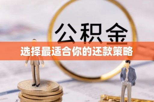 庐山选择最适合你的还款策略