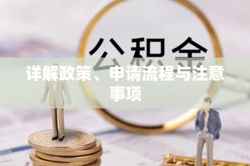 庐山详解政策、申请流程与注意事项