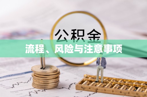 庐山流程、风险与注意事项