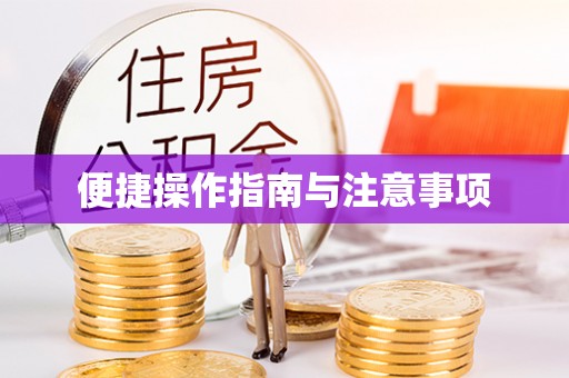 庐山便捷操作指南与注意事项